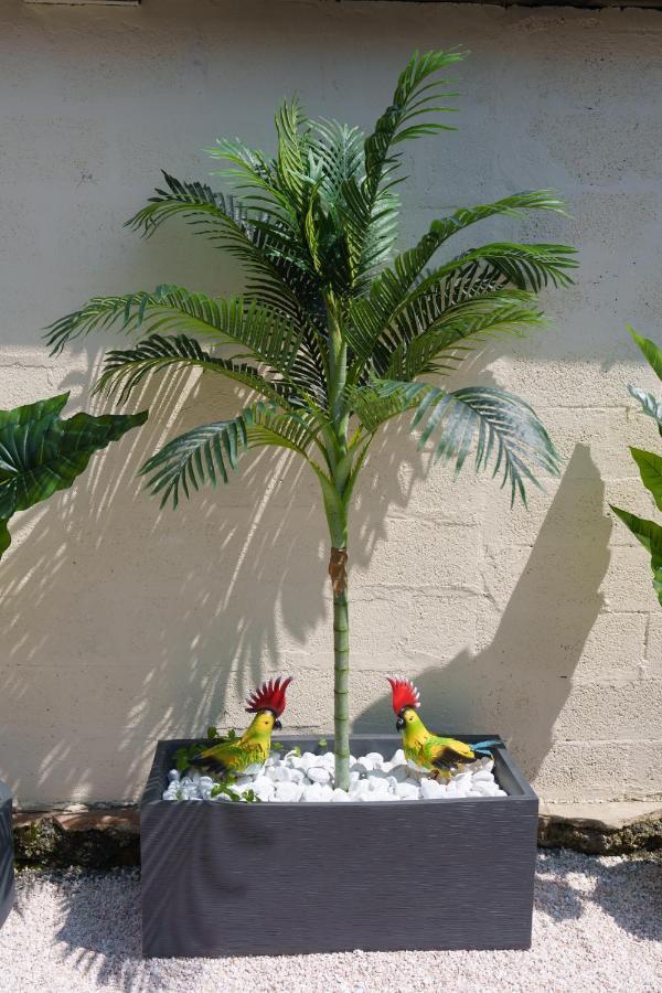 L'Escale Tropicale, Appartement Independant Avec Terrasse Privative Saint-Quentin  Extérieur photo